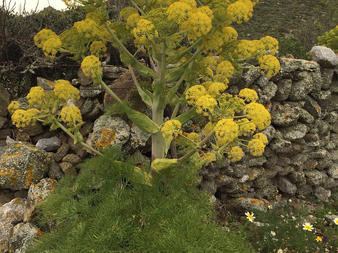 St. Valsamitis-Amorgos必去景点