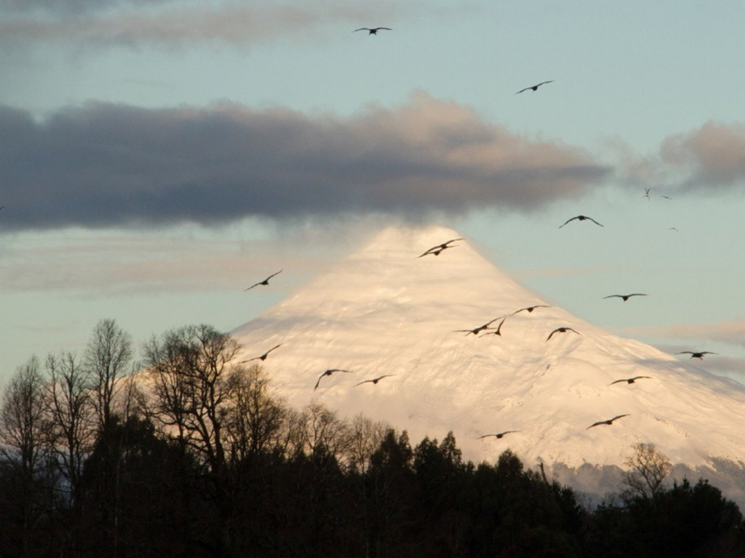 Quesos Chiriuco-Puerto Octay必去景点