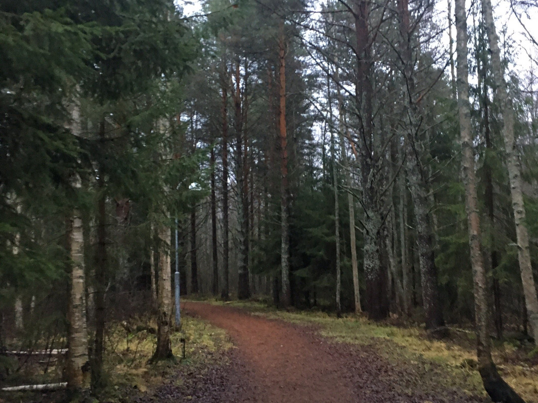 Outdoors Oulu Oy-奥卢必去景点