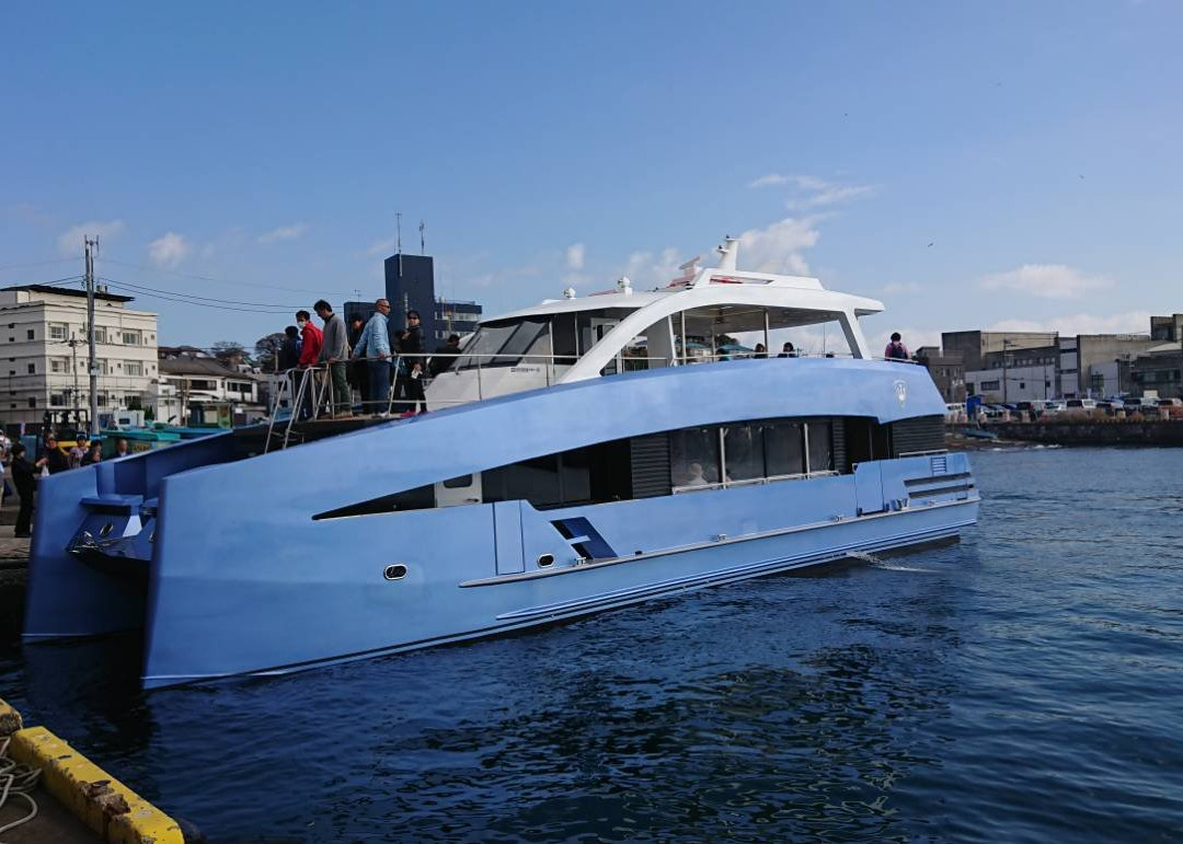 Misaki Minatomachi Matsuri-三浦市必去景点