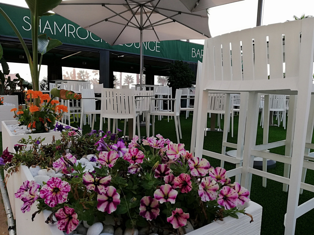 Shamrock Lounge