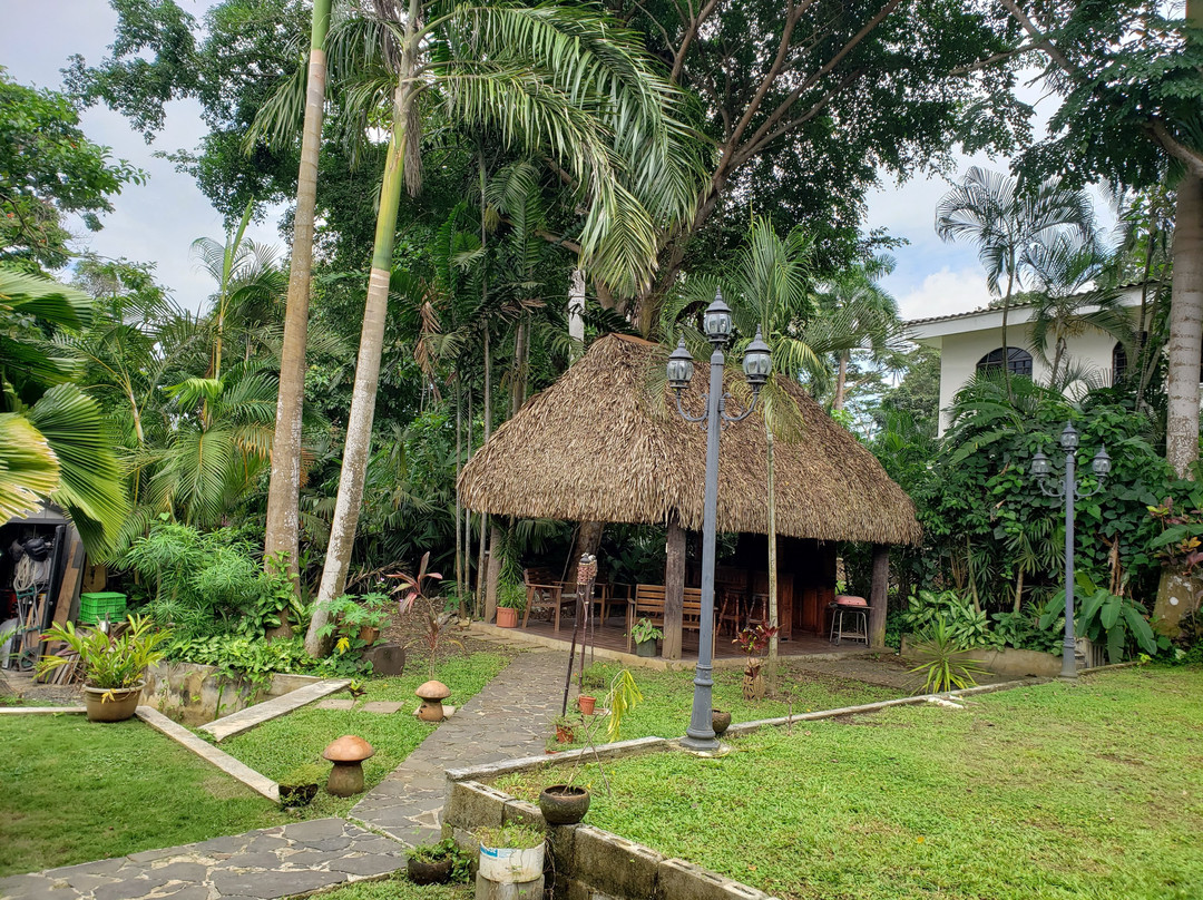 The Balboa Inn主图