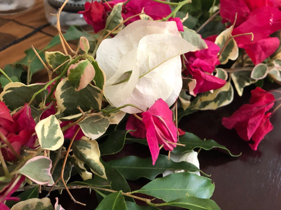 Oliver's Bed And Breakfast主图