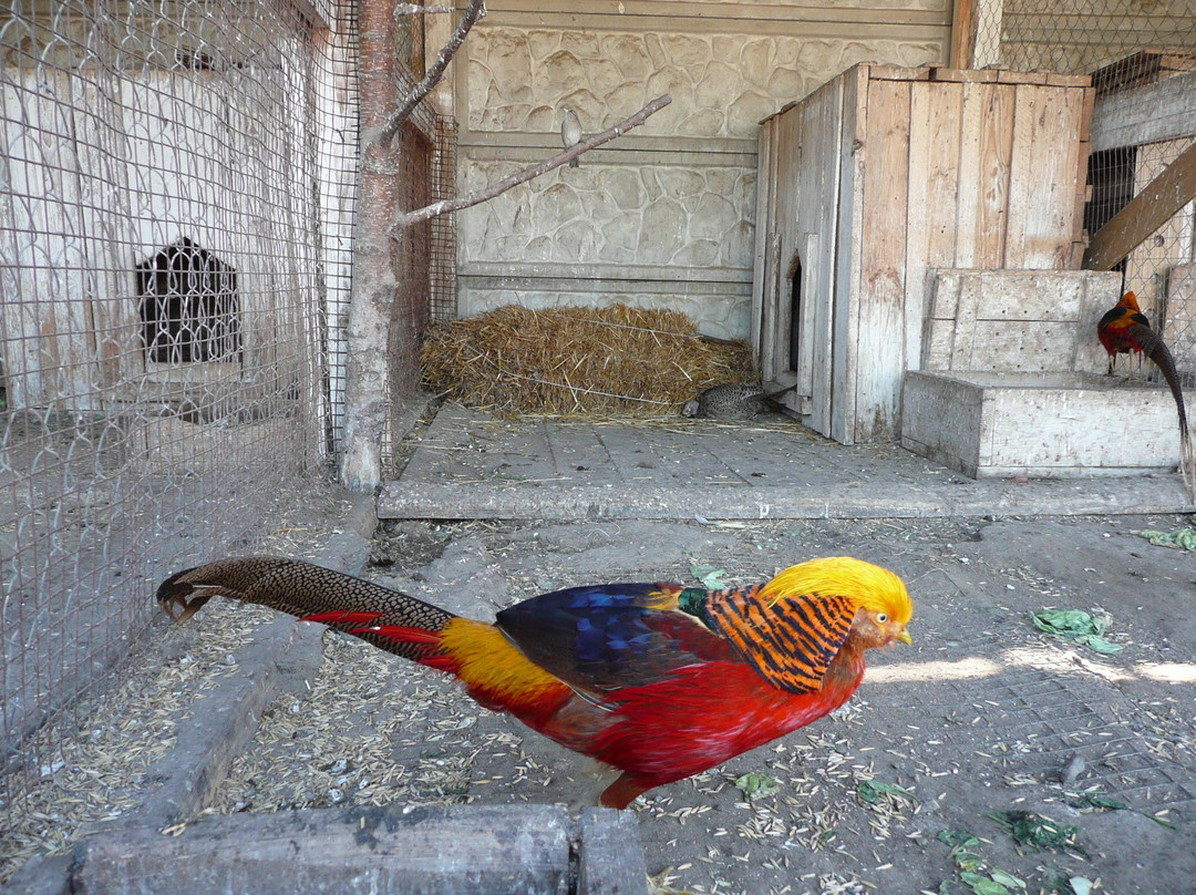 Vinnytsya Zoo-Vinnytsia必去景点