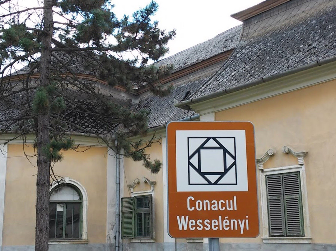Castelul Wesselenyi景点图片