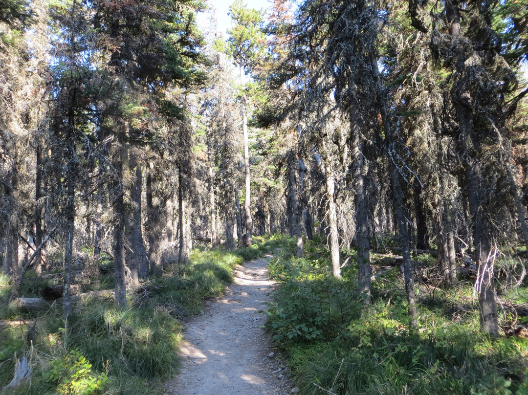 Scenic Point Trail景点图片