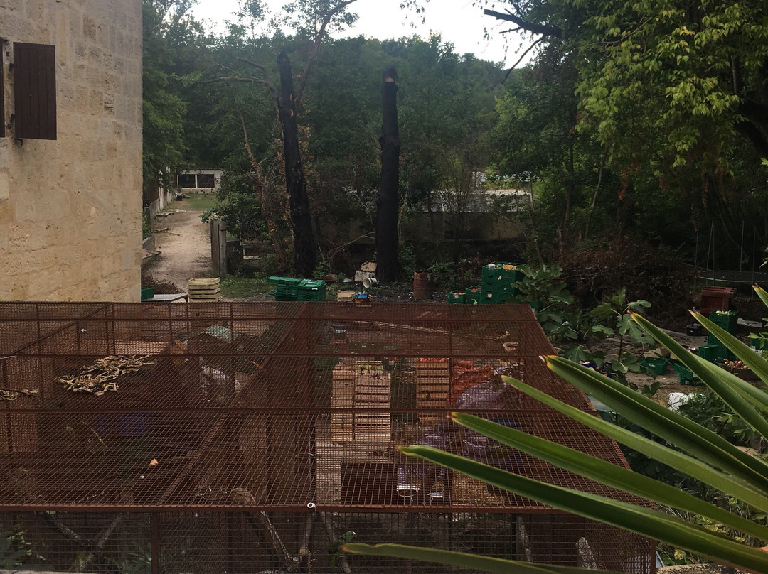 Moulin de Montfrange主图