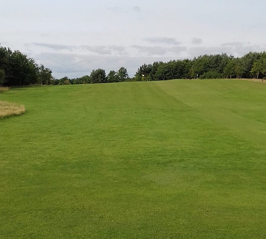 N1GOLF Centre景点图片