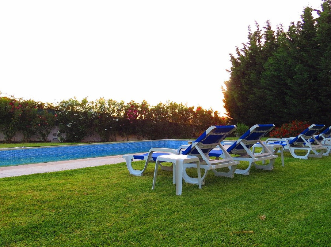Hilltop Oasis - Lisbon Lux主图