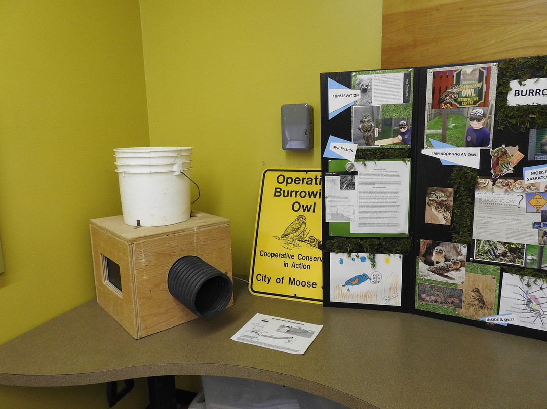 Saskatchewan Burrowing Owl Interpretive Centre-穆斯乔必去景点