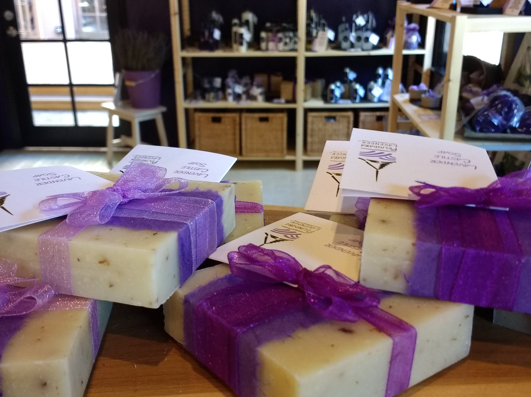 Pelindaba Lavender St. Augustine景点图片