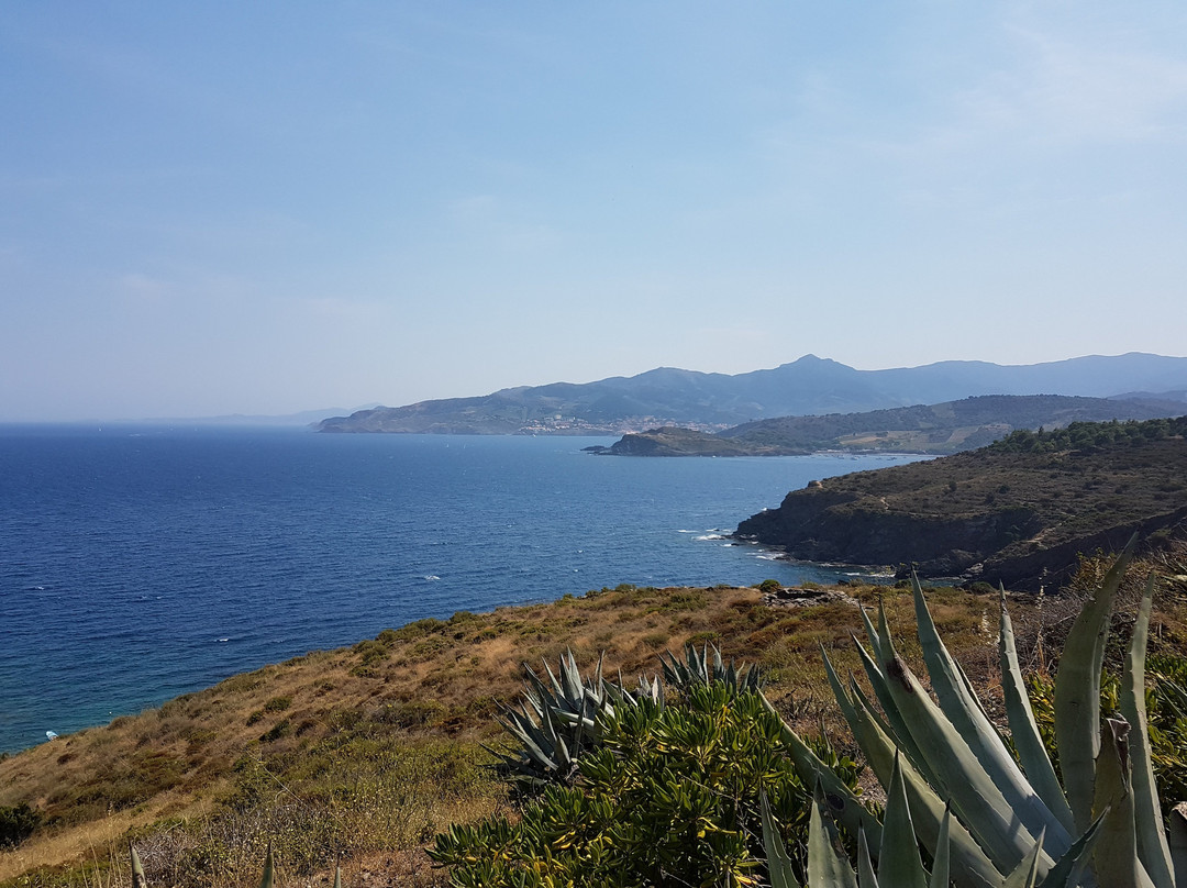 Phare du Cap Béar景点图片