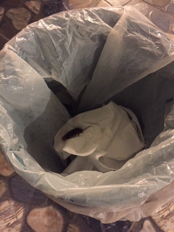 安达曼邦涛海湾度假村