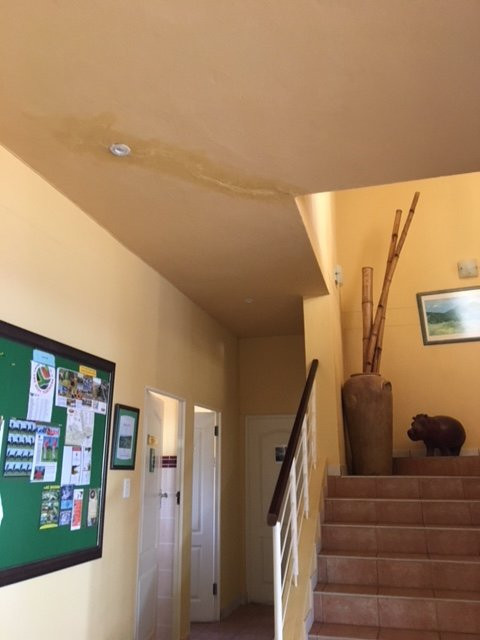 Albatross Guesthouse主图