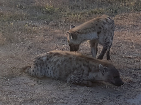 Discover Tours-白河必去景点