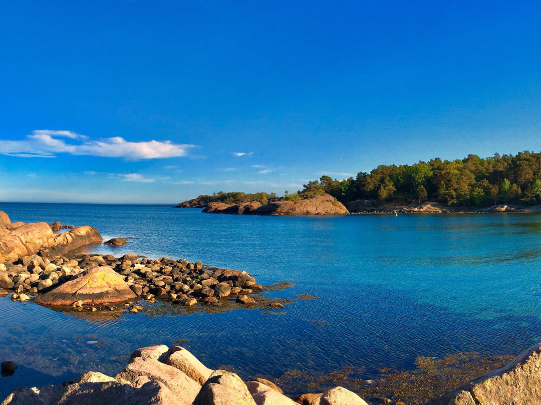 null-Grimstad