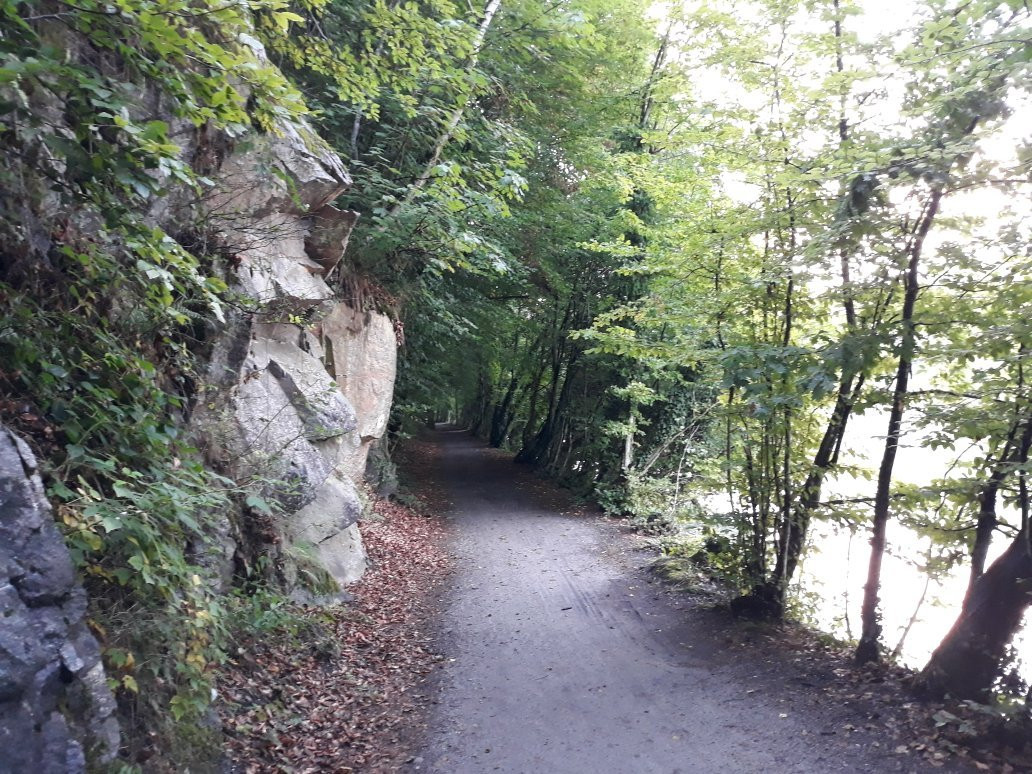 Inn Valley Bicycle Path-帕绍必去景点