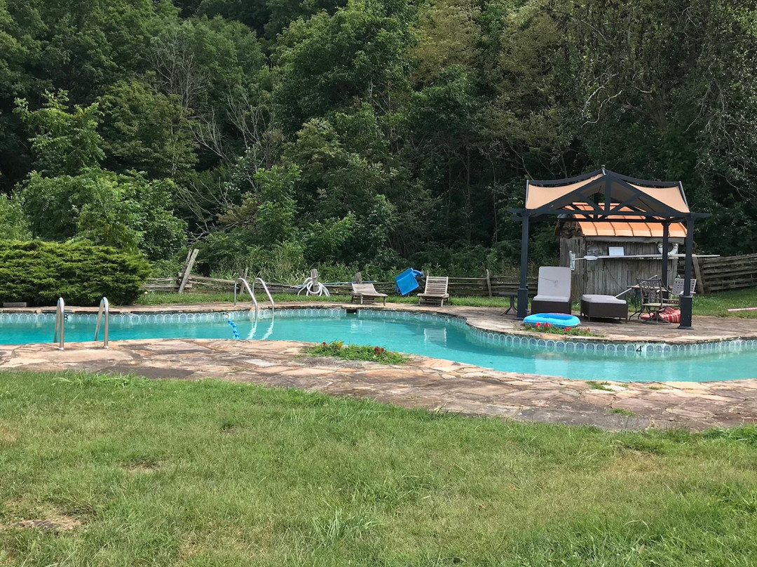 Cuz's Cabins and Resort主图