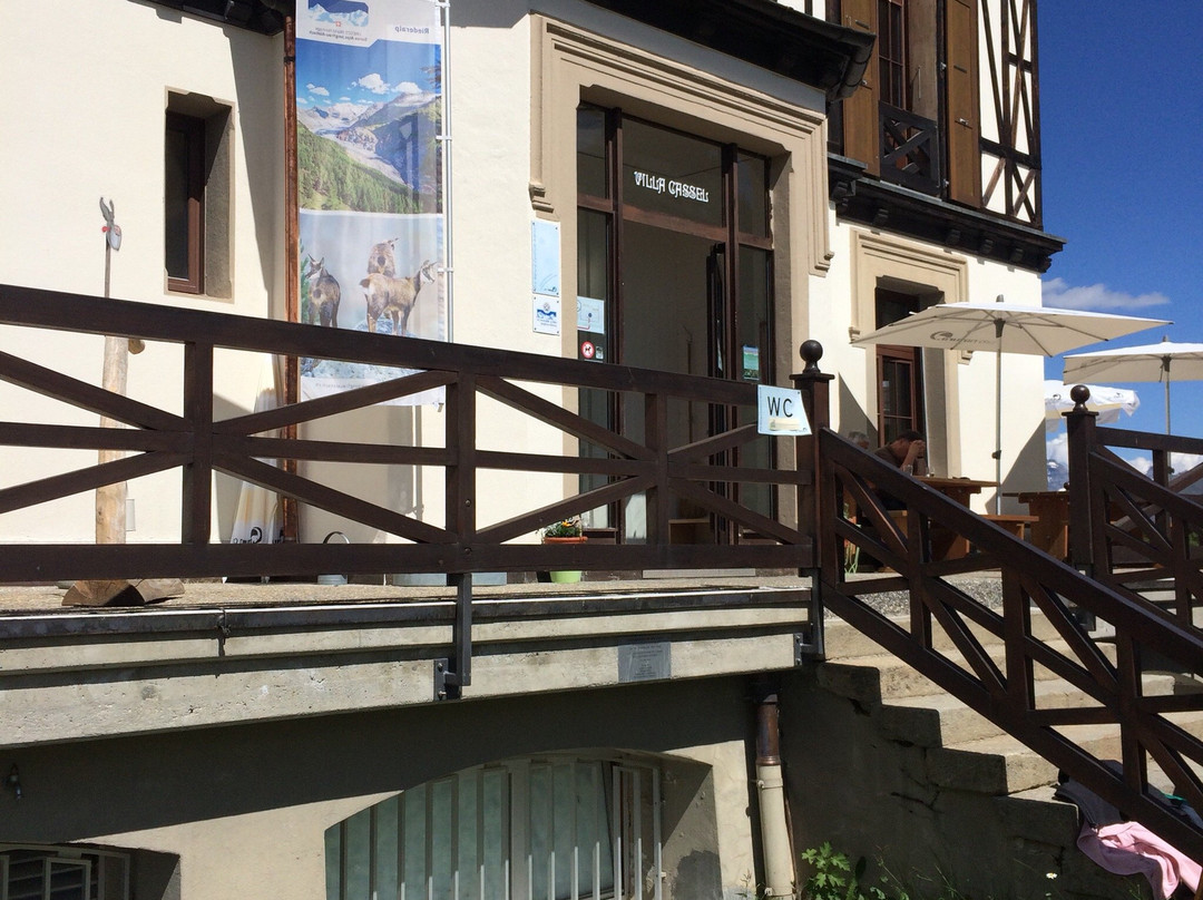 Villa Cassel - Pro Natura Zentrum Aletsch-利德阿尔卑必去景点