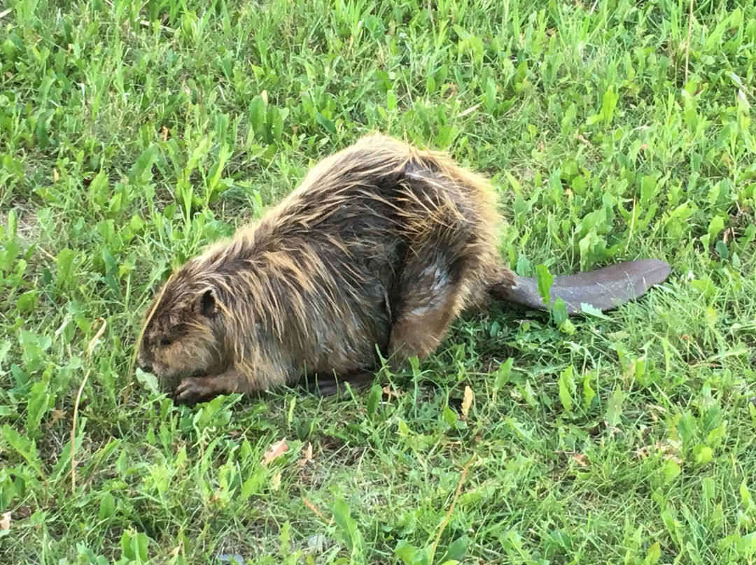 Wakamow Valley-穆斯乔必去景点
