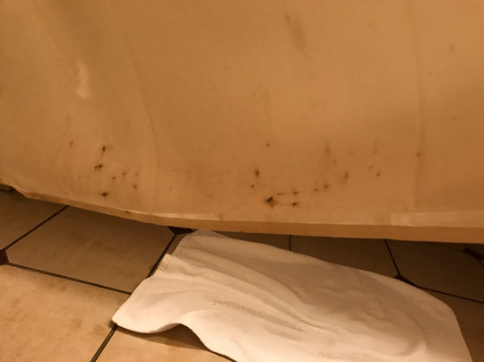 Sam's Town Hotel & Casino, Shreveport主图