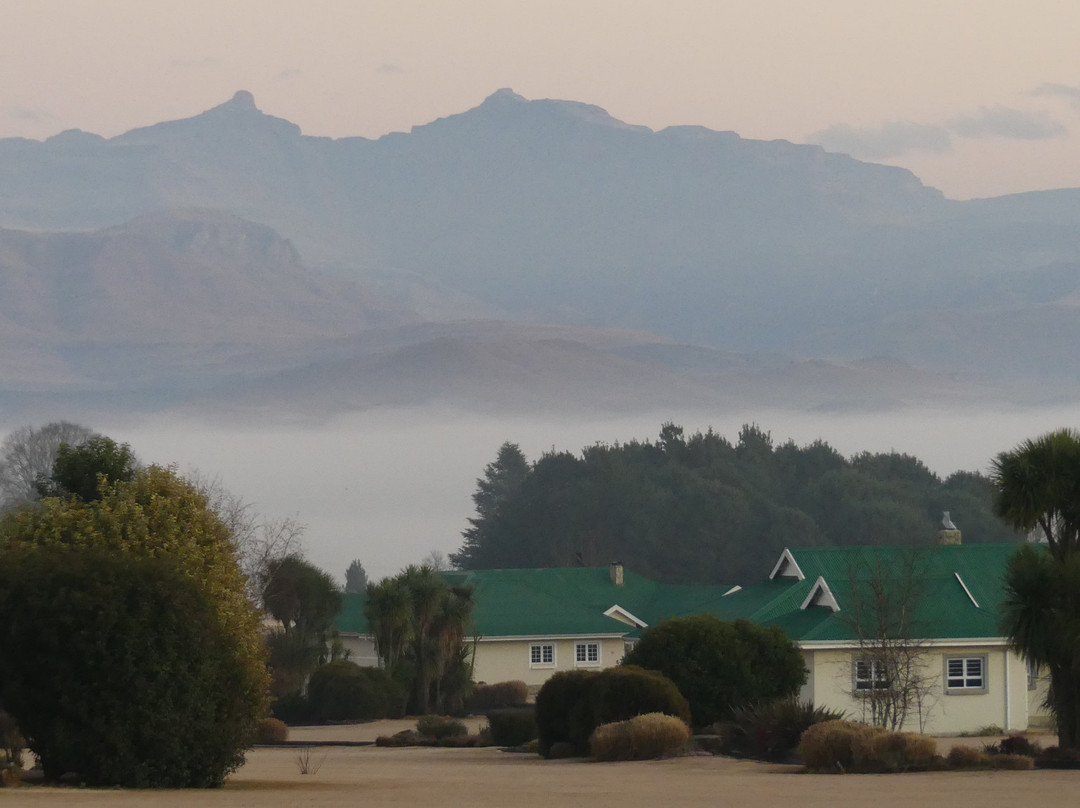 Country Comfort主图