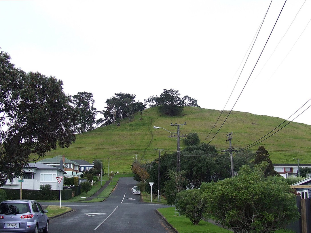 Mangere Mountain景点图片