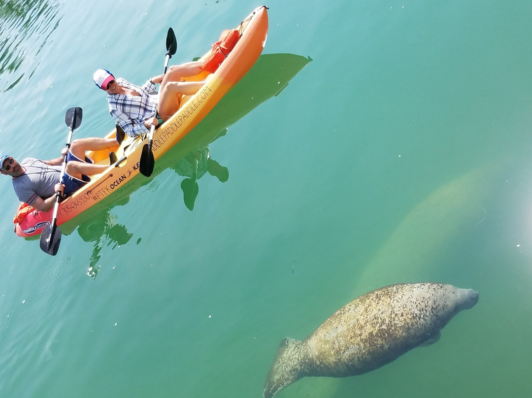 Paddle! the Florida Keys-伊斯拉摩拉达必去景点