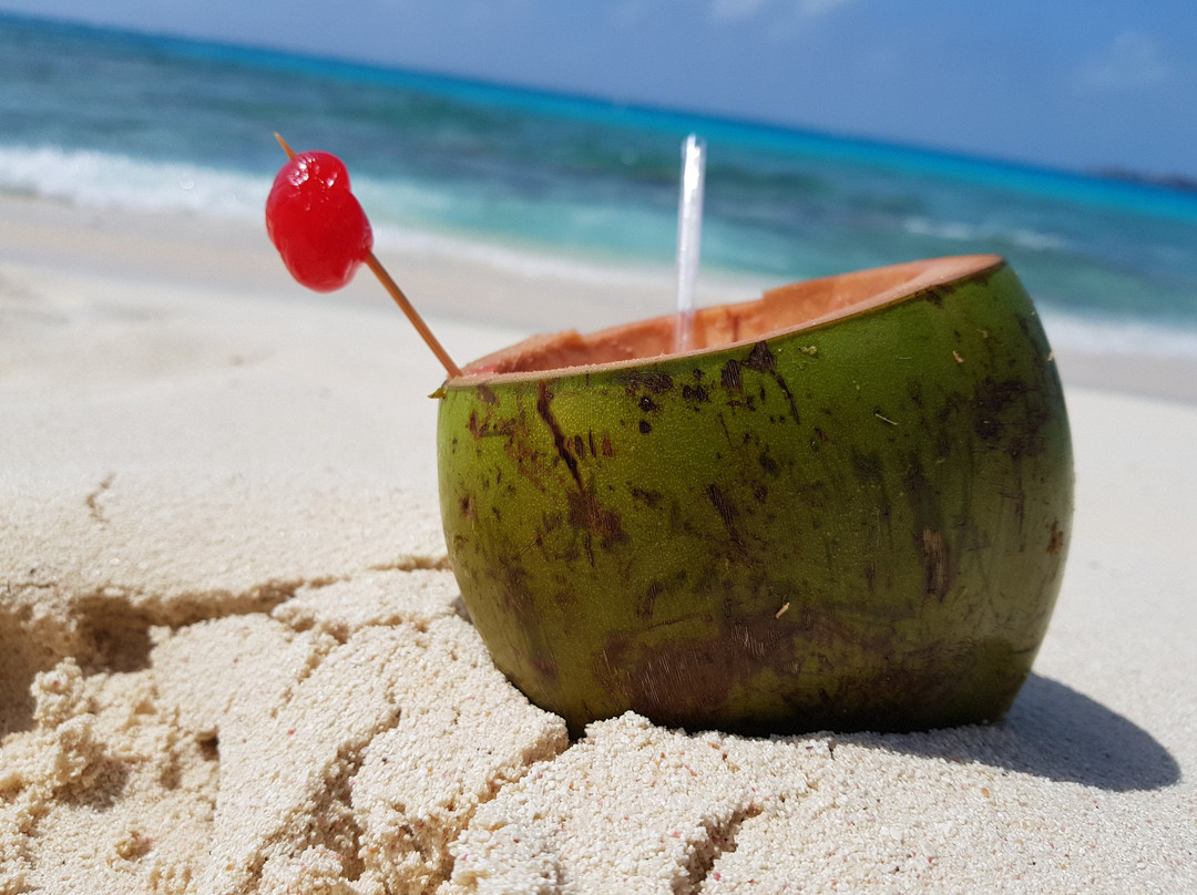 Hotel Caribbean On Vacation主图