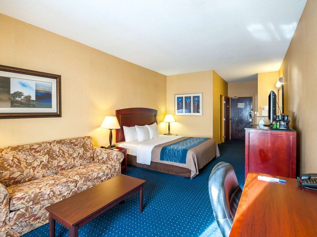 Comfort Inn & Suites主图