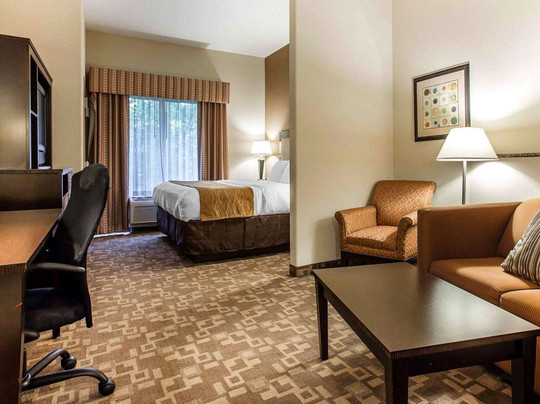 Comfort Suites At Kennesaw State University主图