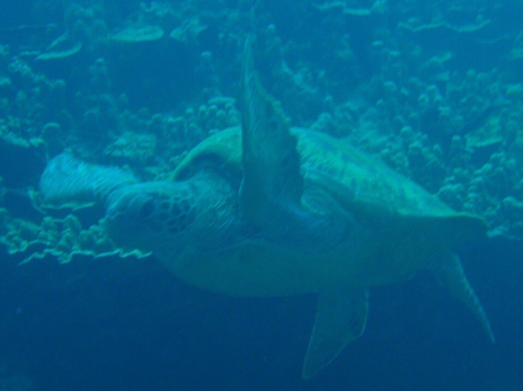 S2 Club Guam-Piti必去景点