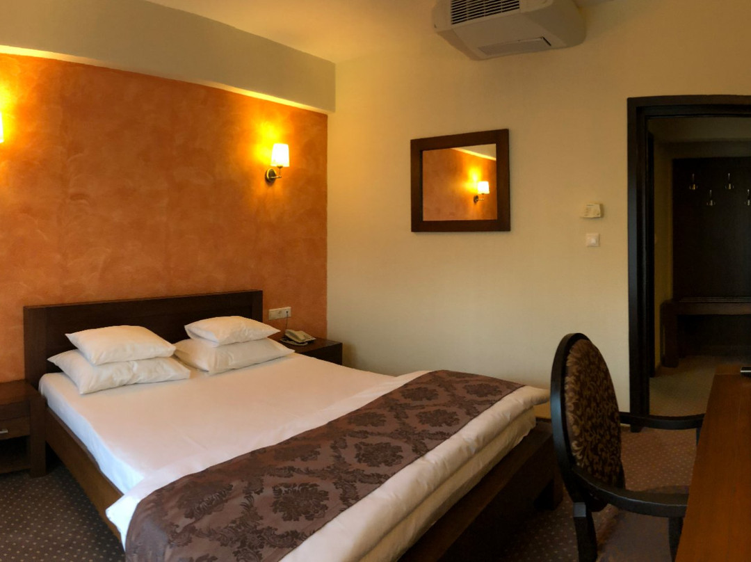 Queens Hotel Zalau主图