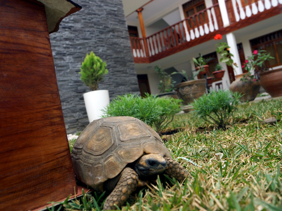 Posada del Arriero主图