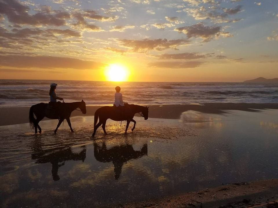 Horse About Tours景点图片