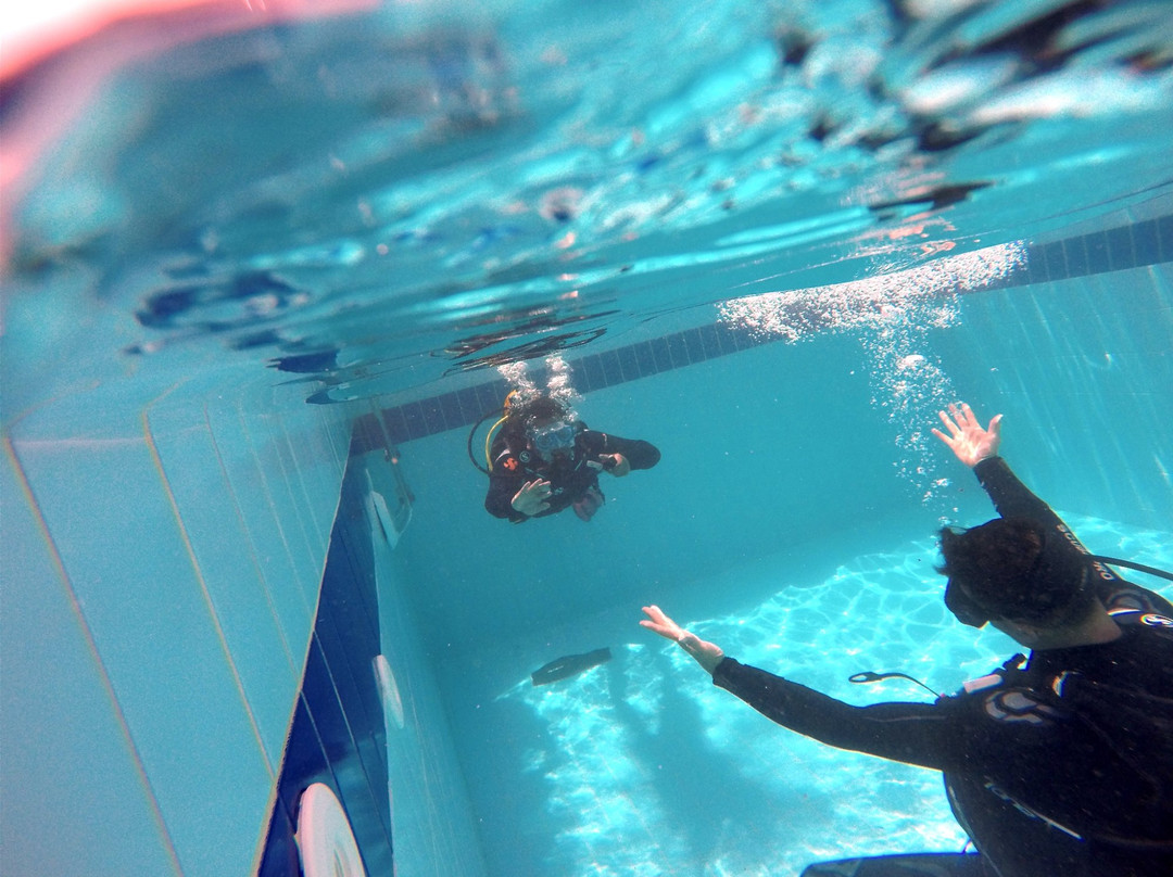Go Scuba Diving-Agia Marina必去景点
