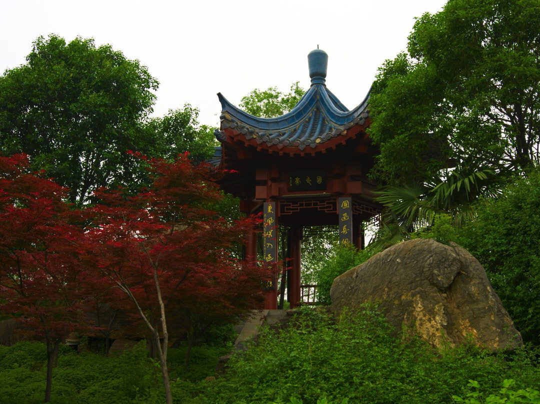 隋唐城植物园景点图片
