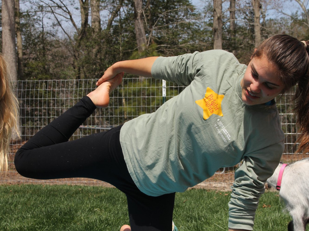 Goat Joy-Harbeson必去景点