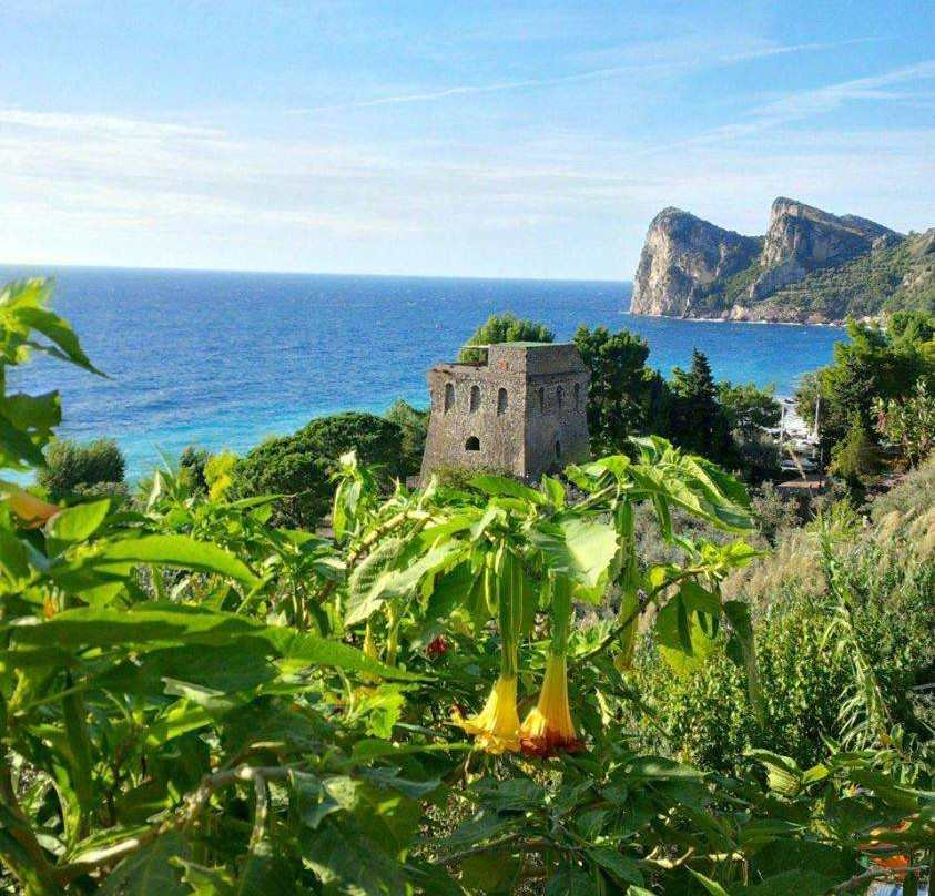 Travel Amalfi Day Tours景点图片