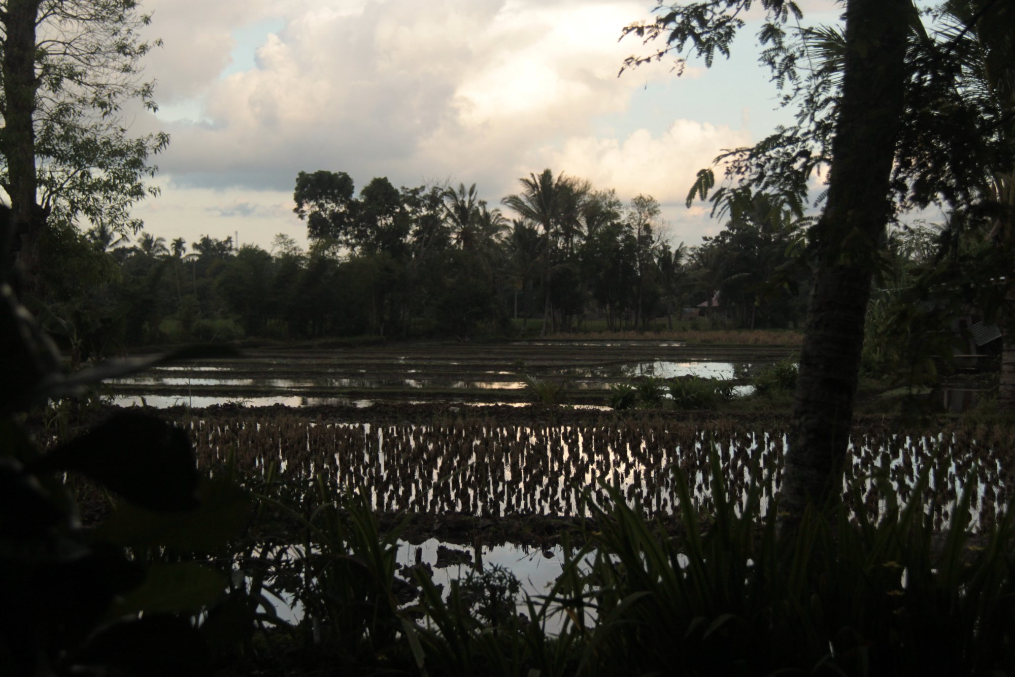 Brigadoon Lombok B&B-官方