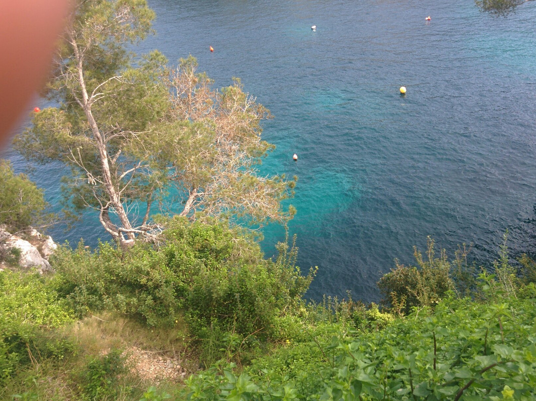 Cala Figuera Beach景点图片