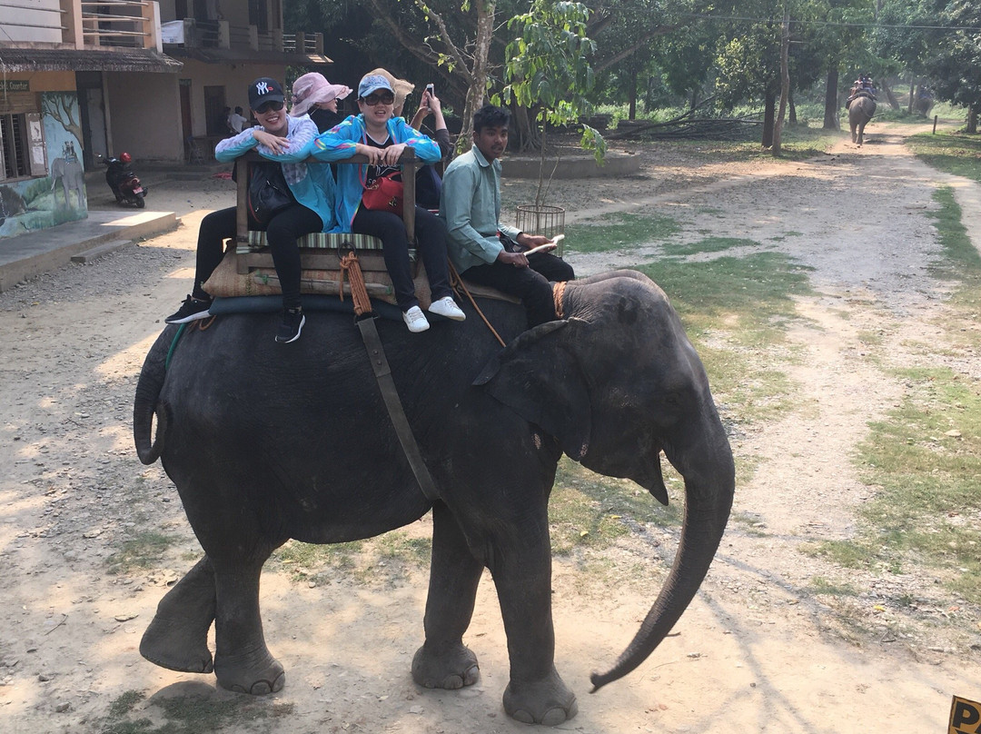 Jungle Safari Chitwan-苏拉哈必去景点
