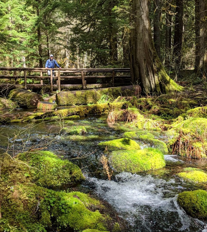 McKenzie River Trail-McKenzie Bridge必去景点