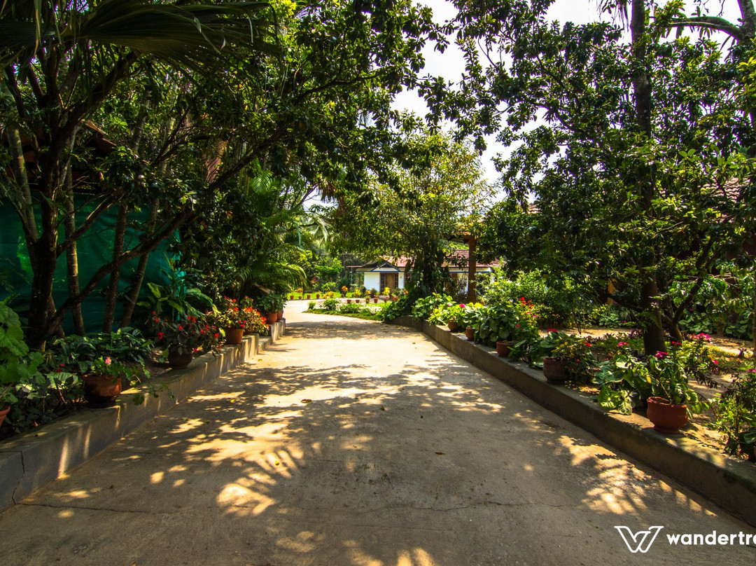 The Woodpecker Homestay - A Wandertrails Stay主图