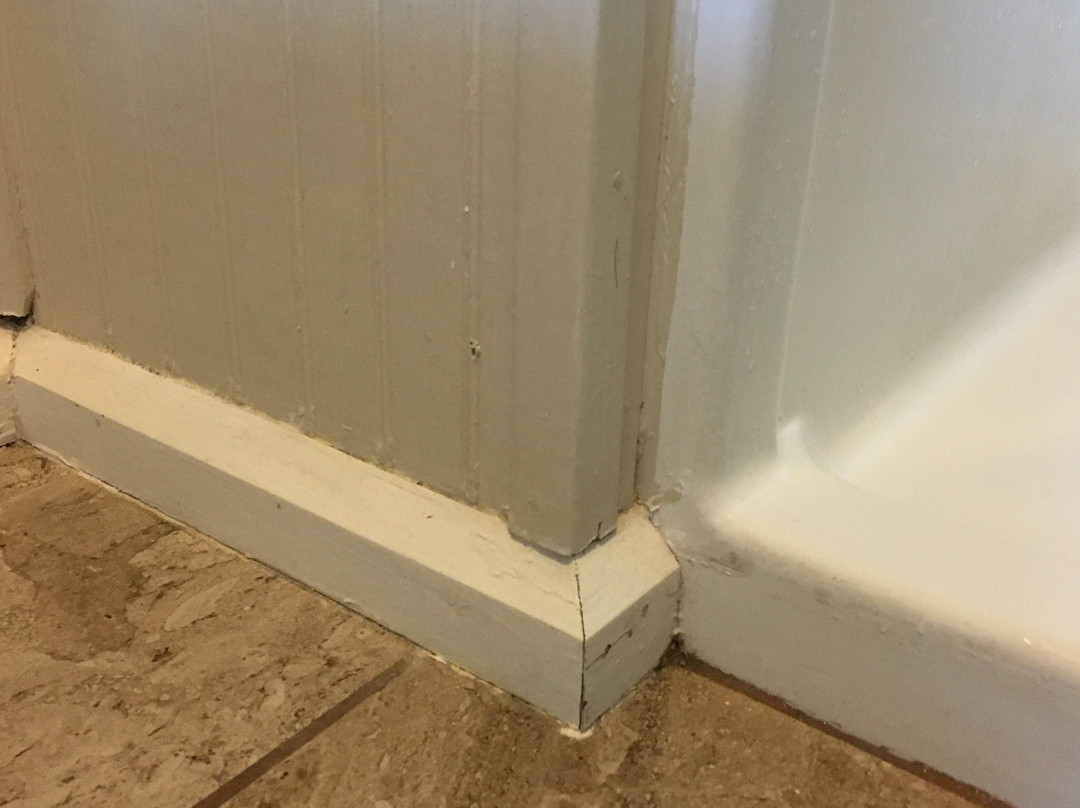 Blue Dolphin Inn and Cottages主图