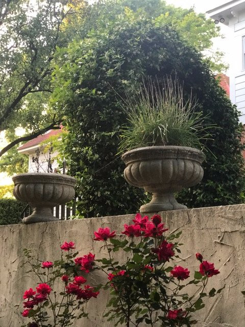 Red Bluff Cottage主图