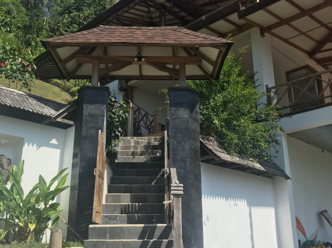 Uvita Bali Bosque