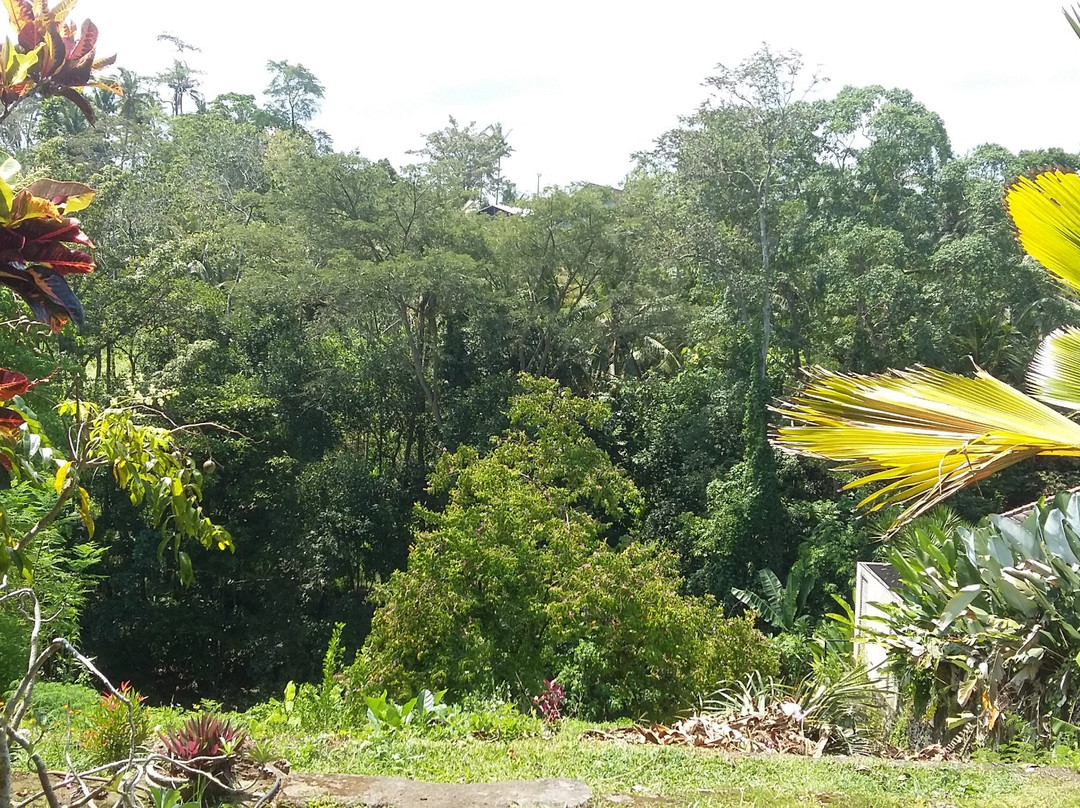 Sekar Arum Riverside Resort主图