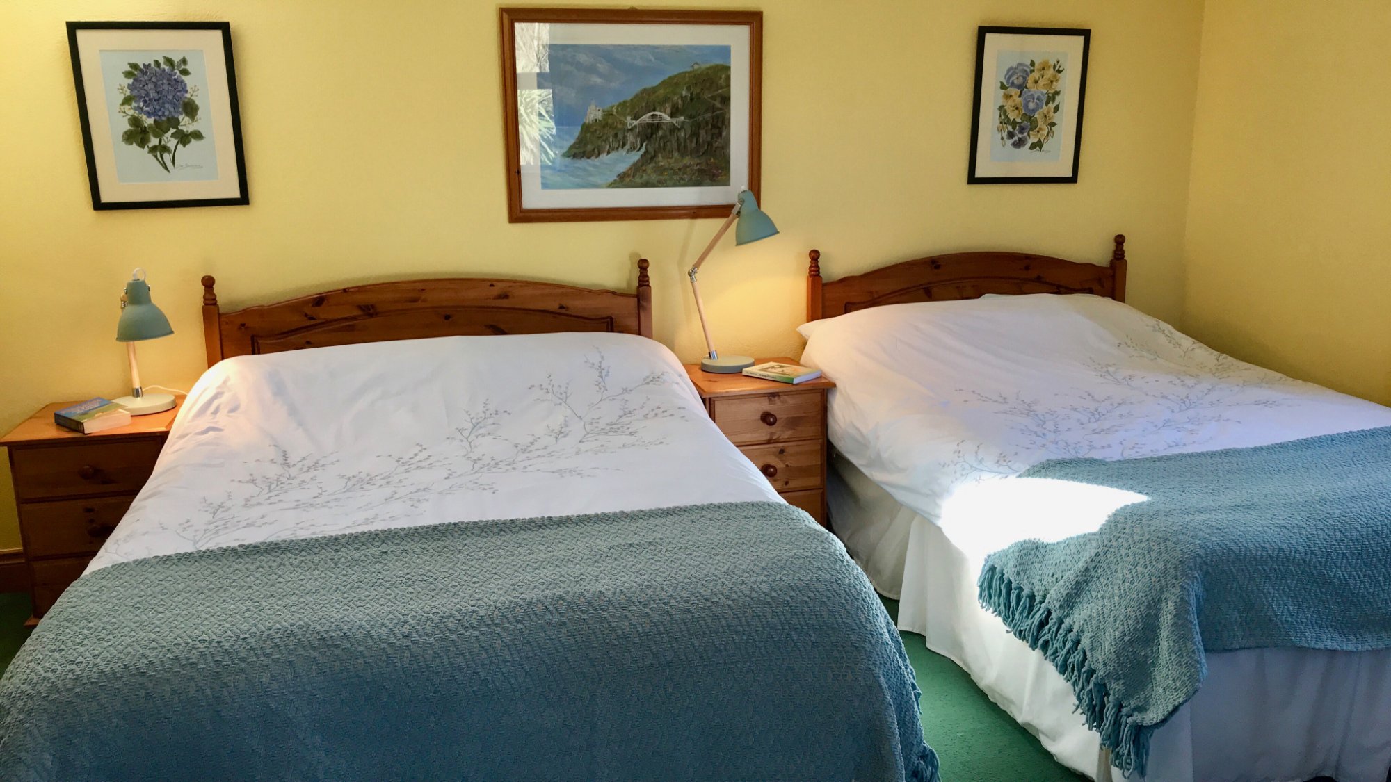 Carraig-Mor House Bed & Breakfast-官方