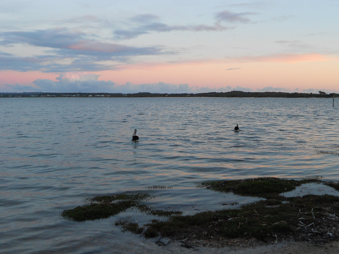 Cruising Kangaroo Island Kayak Tours-American River必去景点